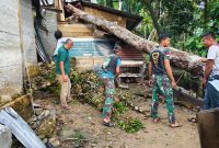 Rumah milik Siti Jamilan rusak tertimpa pohon tumbang, (Ist).