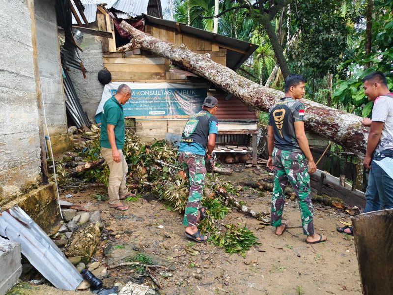 Rumah milik Siti Jamilan rusak tertimpa pohon tumbang, (Ist).