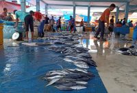 Pedagang ikan TPI Ujong Baroh.